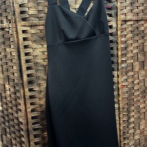 Ted Baker Body Con Midi Dress (size 3)